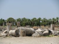 Kolonų griuvėsiai ir palmės